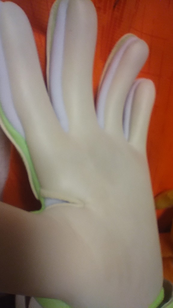ユーザー写真