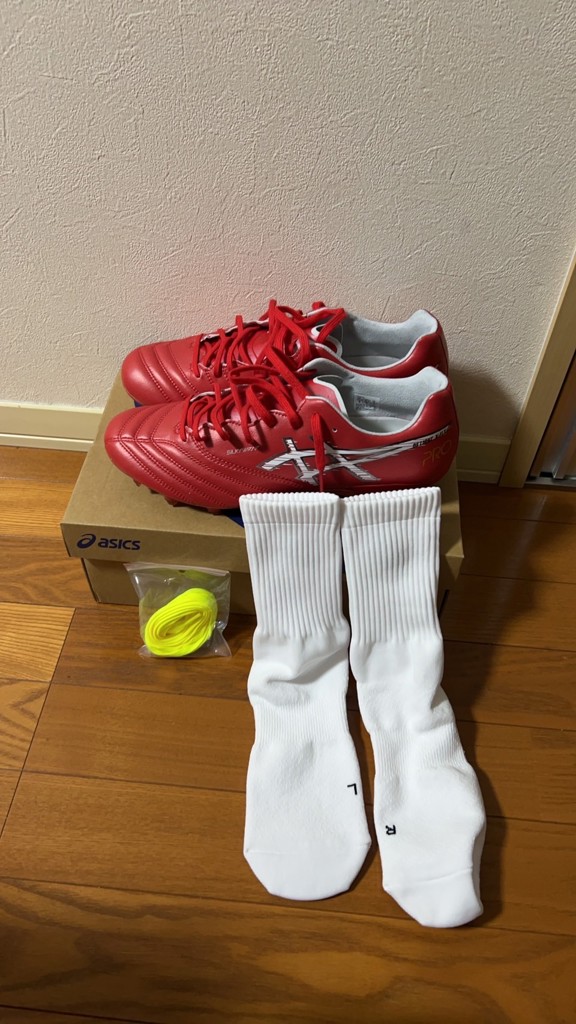 DS LIGHT X-FLY PRO 3／サッカーショップKAMO