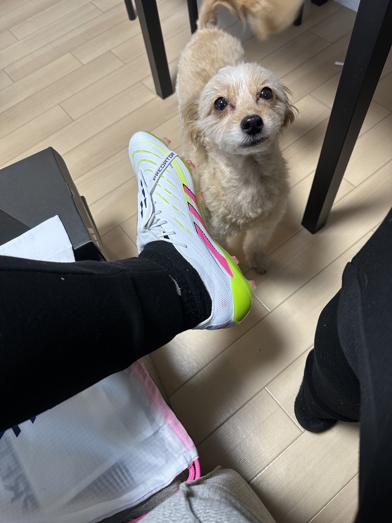 プレデター ELITE FT FG／サッカーショップKAMO