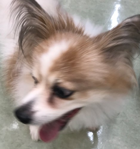 投稿写真
