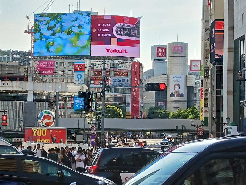 投稿写真