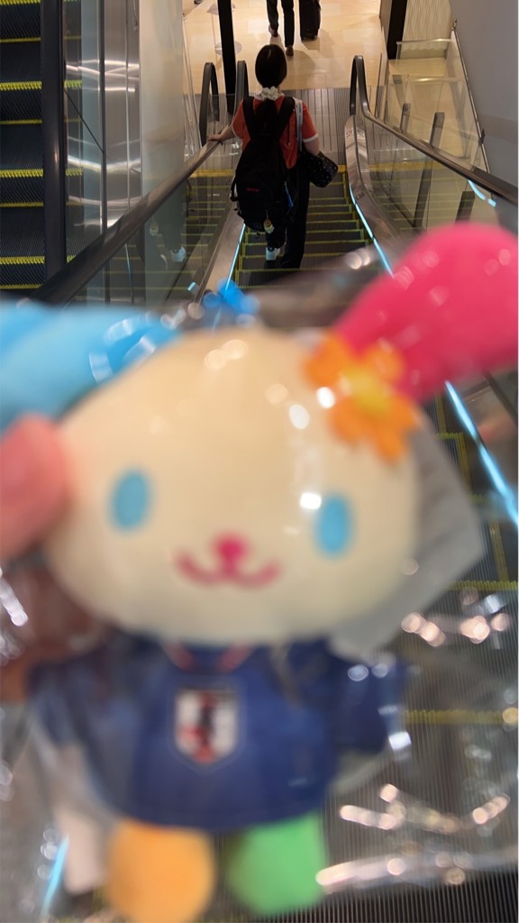 投稿写真