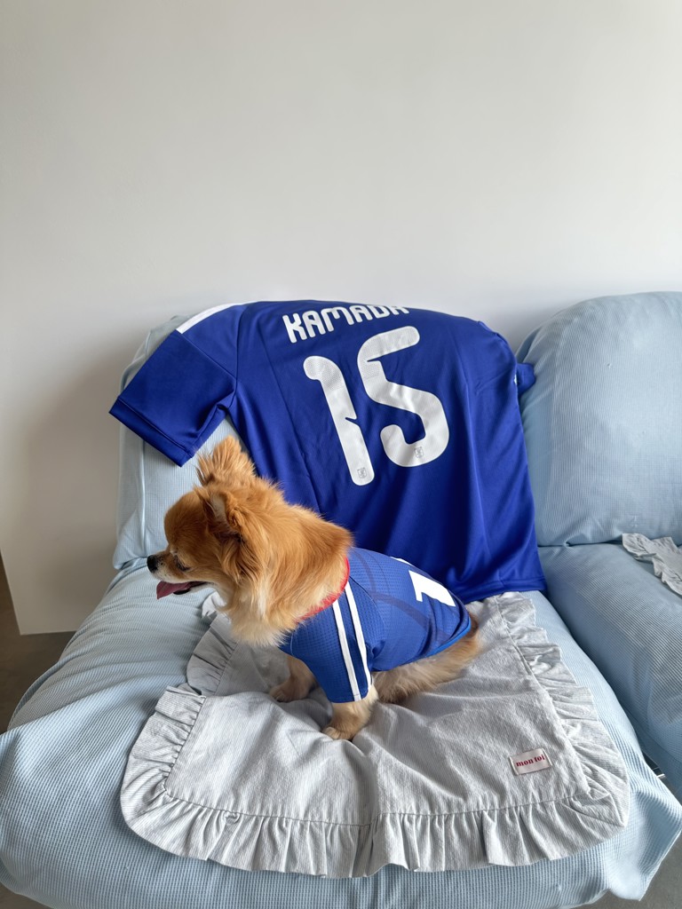 投稿写真