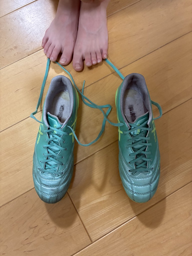 投稿写真