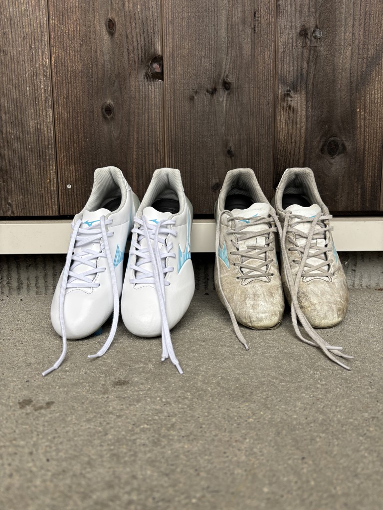 投稿写真