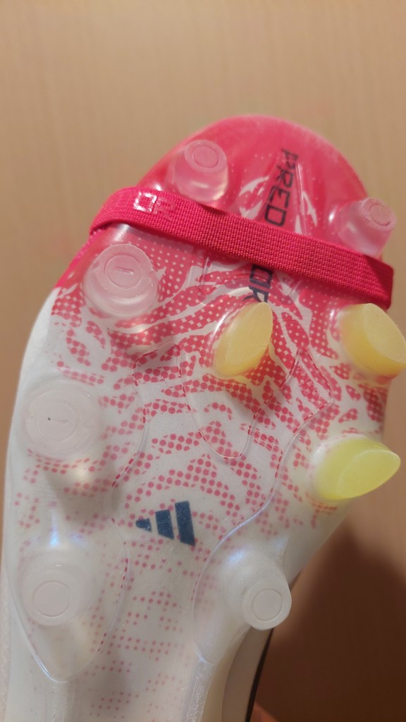 投稿写真
