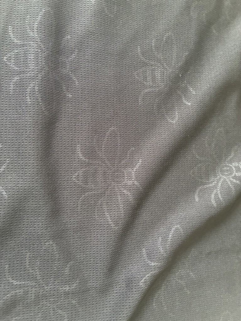 投稿写真