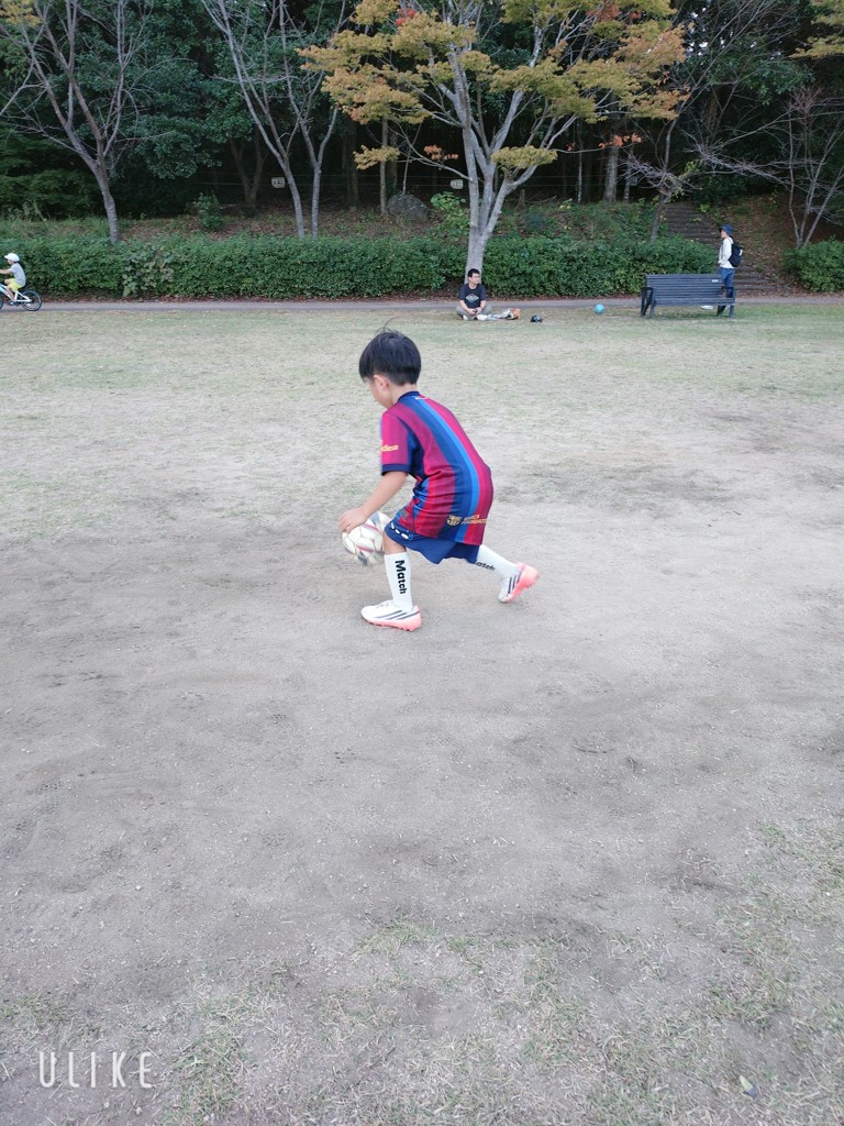 投稿写真