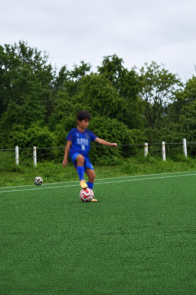 投稿写真