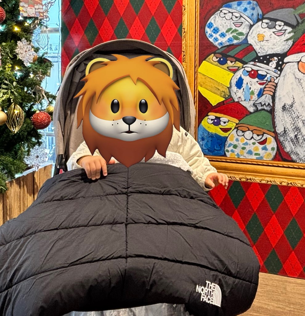 THE NORTH FACE/ザ・ノース・フェイス】ベビーシェルブランケット