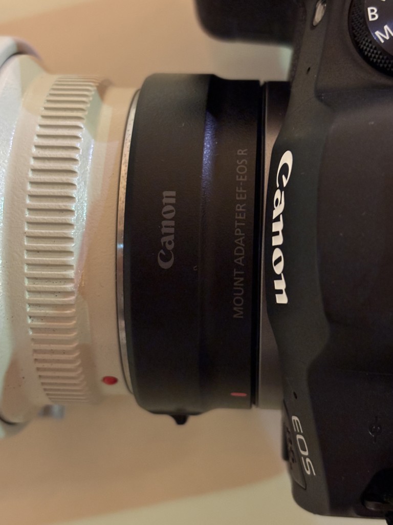 Canon マウントアダプター EF-EOS R｜新品通販フジヤカメラ