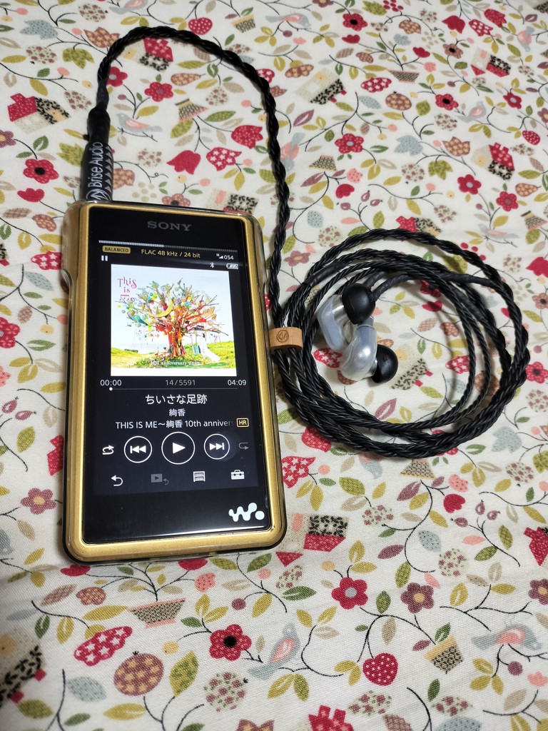 Brise Audio ASUHA-Rh2+ 5極Φ4.4mmプラグ-ゼンハイザー IE300/IE900用