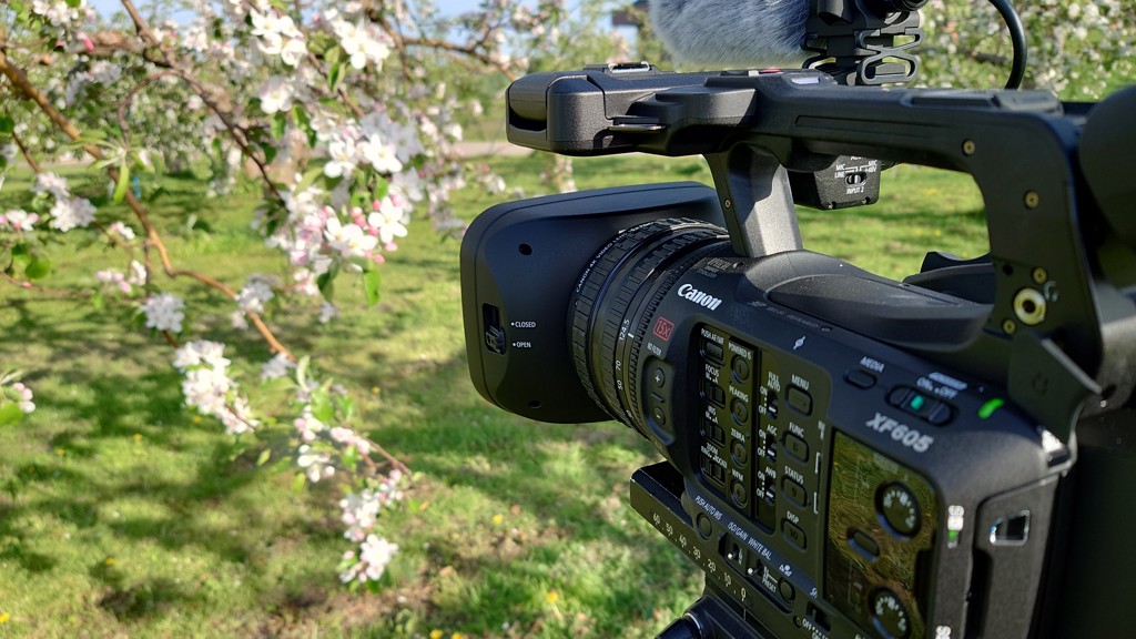 大幅値下げ】Canon XF605 4Kビデオカメラ BP A60付 Canon XF605｜新品