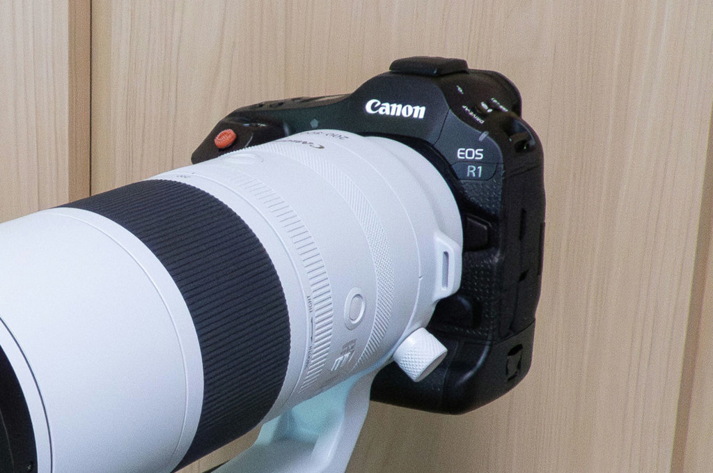 Canon EOS R1 ボディー 新品｜フジヤカメラ