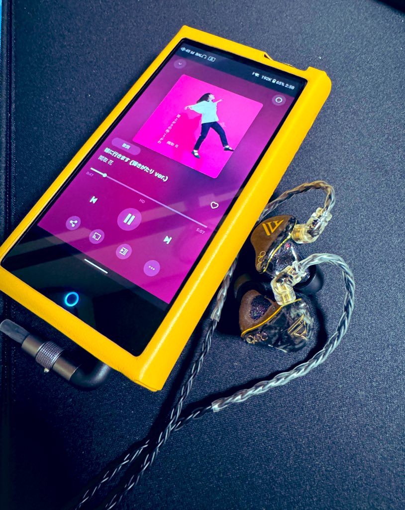 Cayin N7 [SPK-A003]｜新品通販フジヤエービック