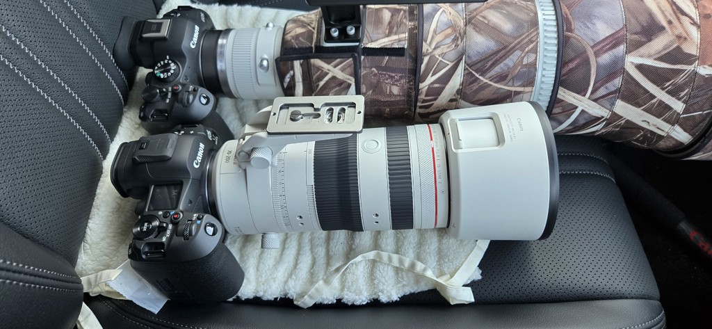 Canon RF70-200mm F2.8 L IS USM Z ホワイト｜新品通販フジヤカメラ