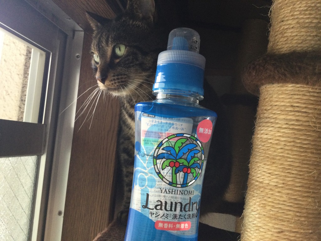 ユーザー写真
