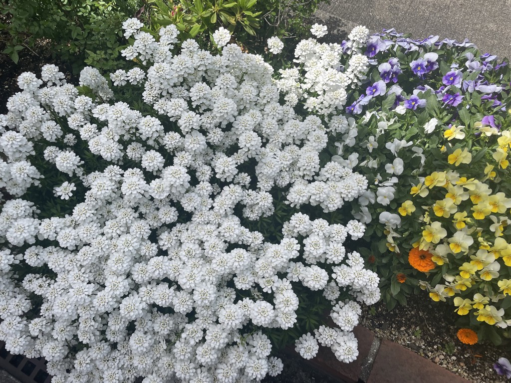 ユーザー写真