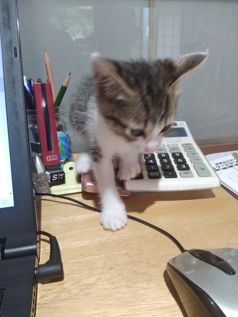 ユーザー写真
