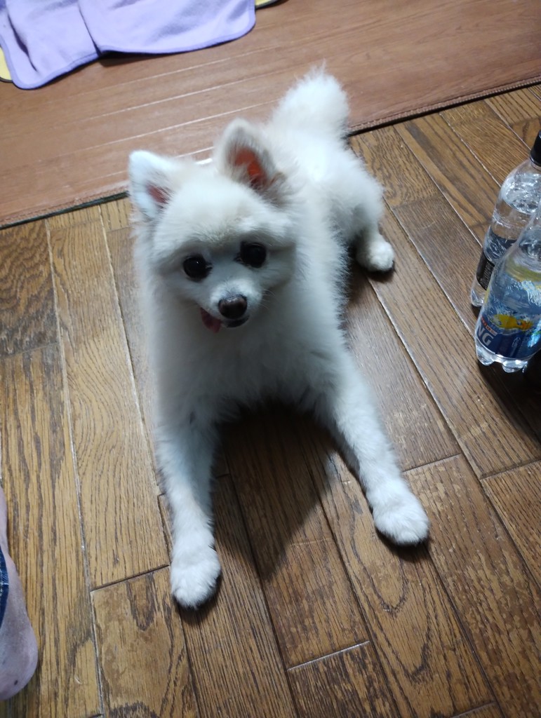 ユーザー写真