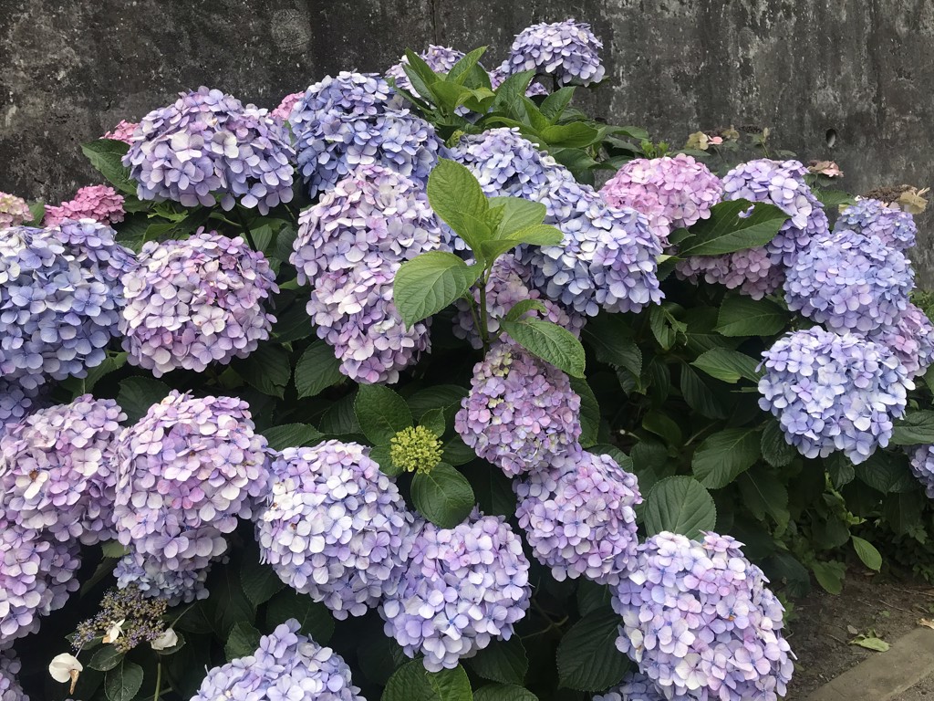 ユーザー写真