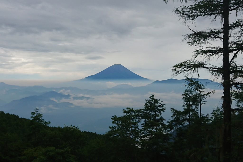 ユーザー写真