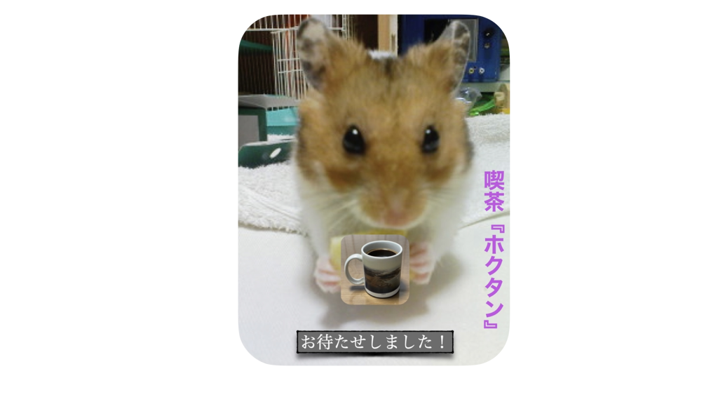 投稿写真