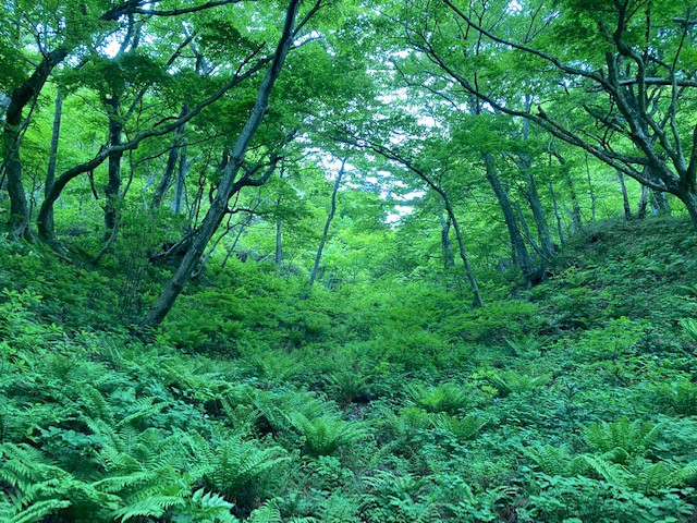 ユーザー写真