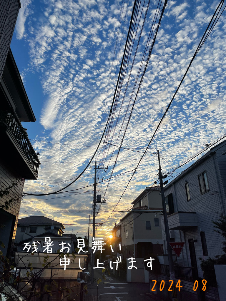投稿写真