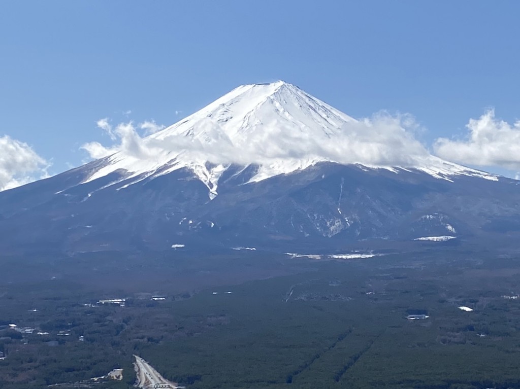 投稿写真