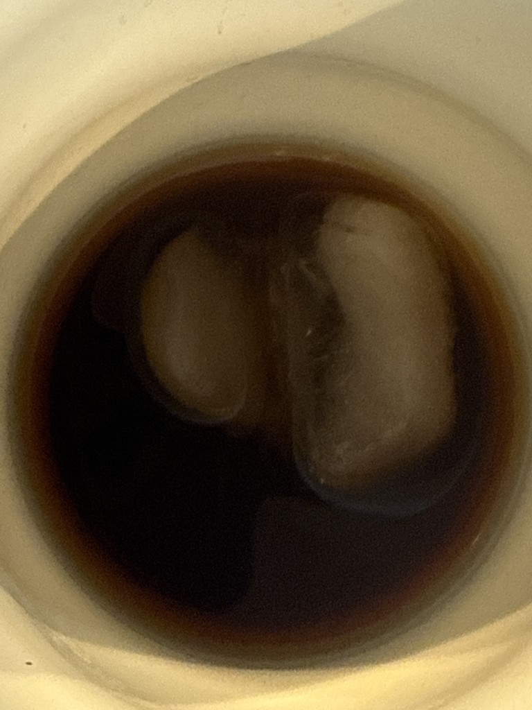 投稿写真