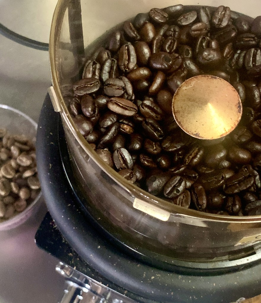 生豆限定】 モカシダモG4 （生豆1kgパック）