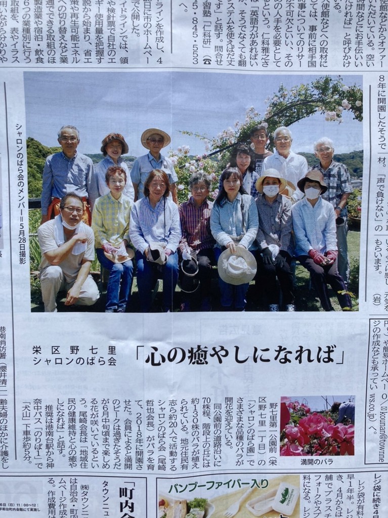 投稿写真