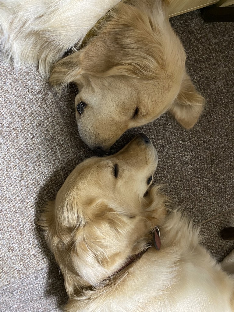 投稿写真