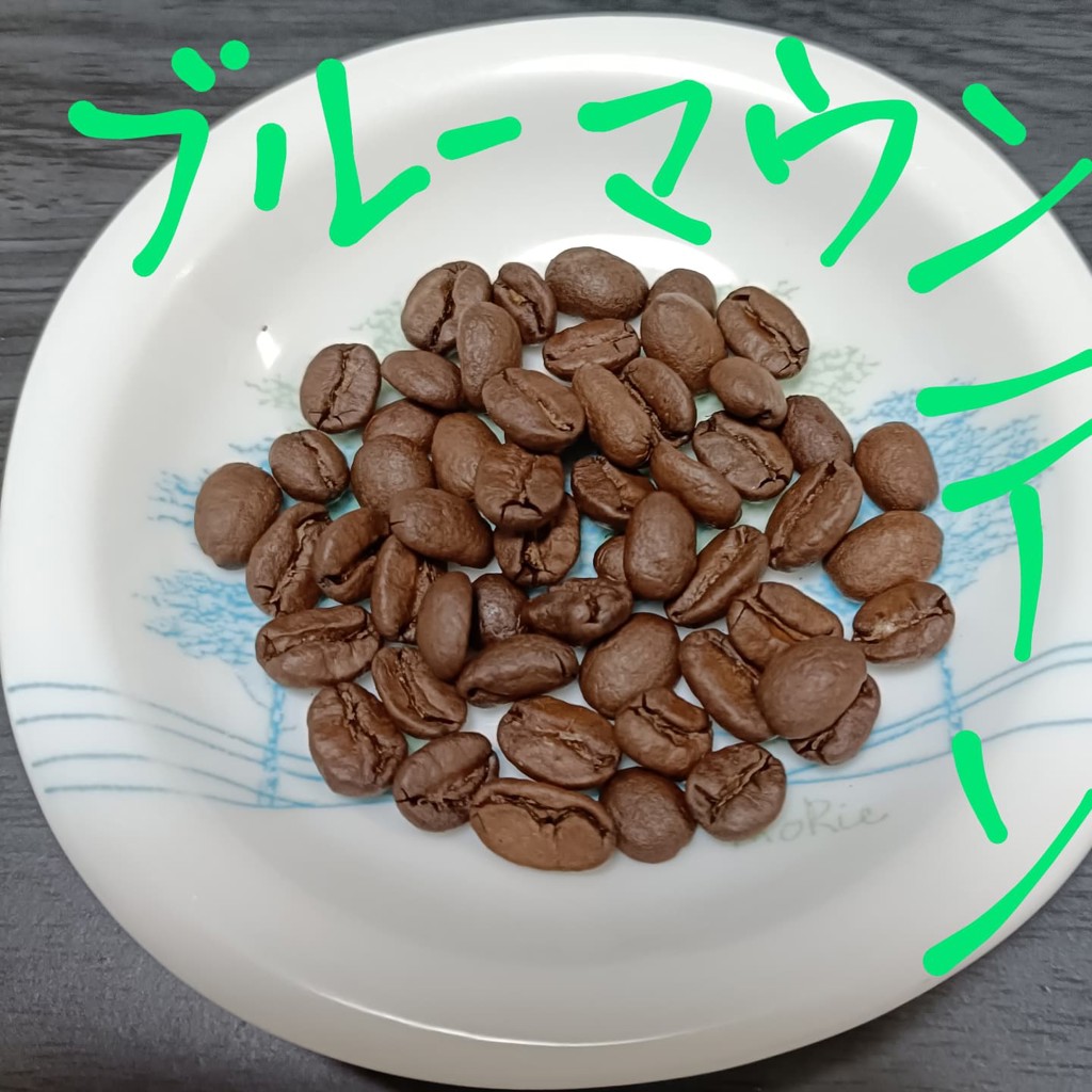投稿写真