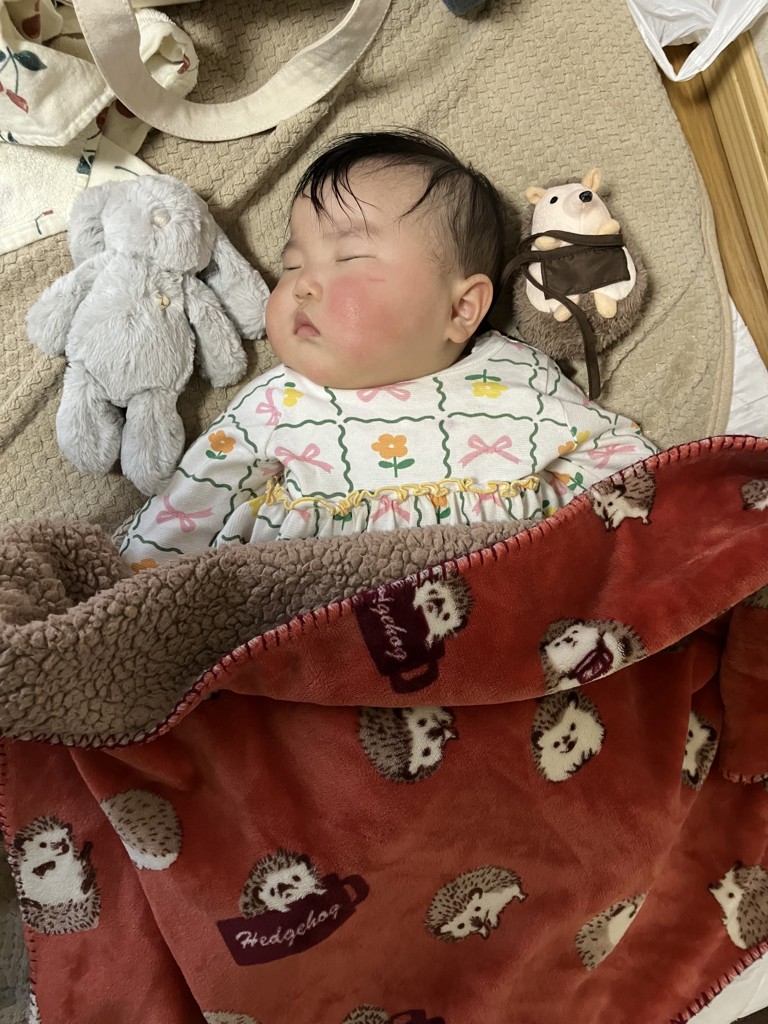 Penelope the Bunny 20cm(スナグルバニーズ) │ JAMIE KAY