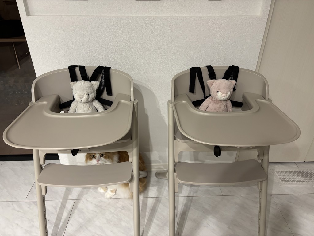 Elsie the Kitty 30cm(スナグルバニーズ) │ JAMIE KAY （ジェイミー