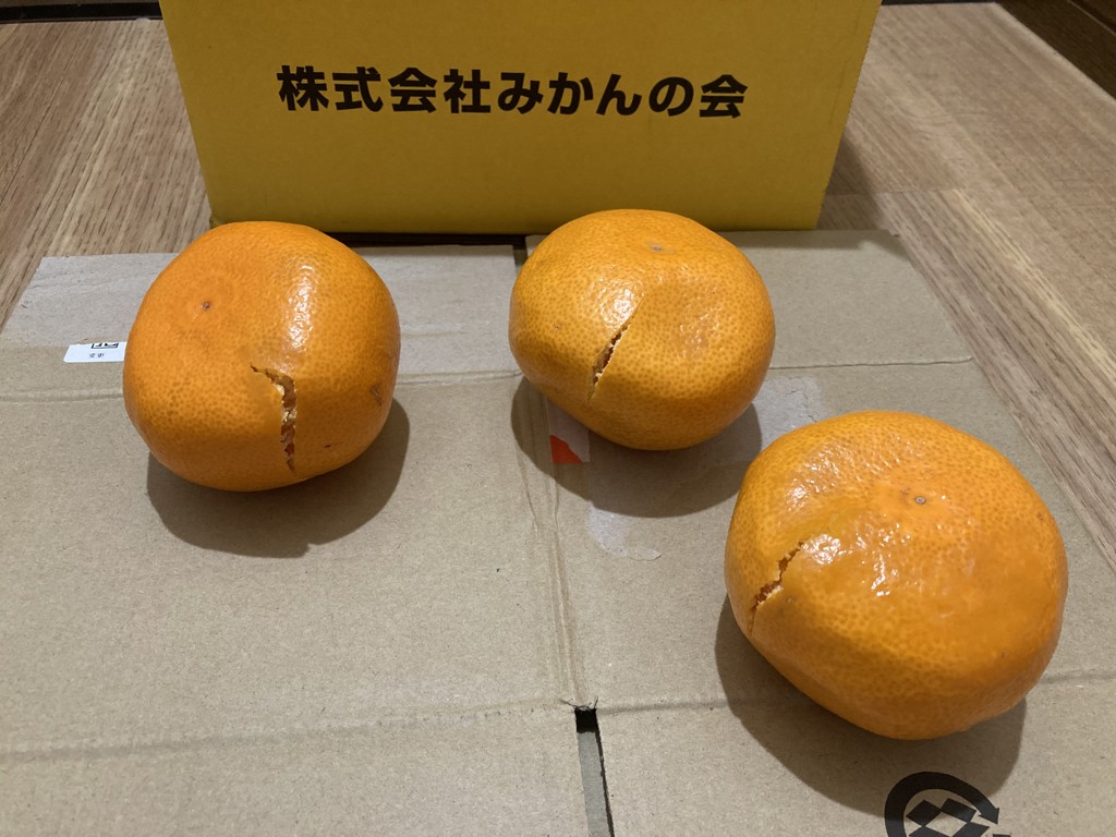 みかん 大玉 どっこいしょ 箱込 5kg ( 内容量約 4.4kg ) 2Lサイズ以上