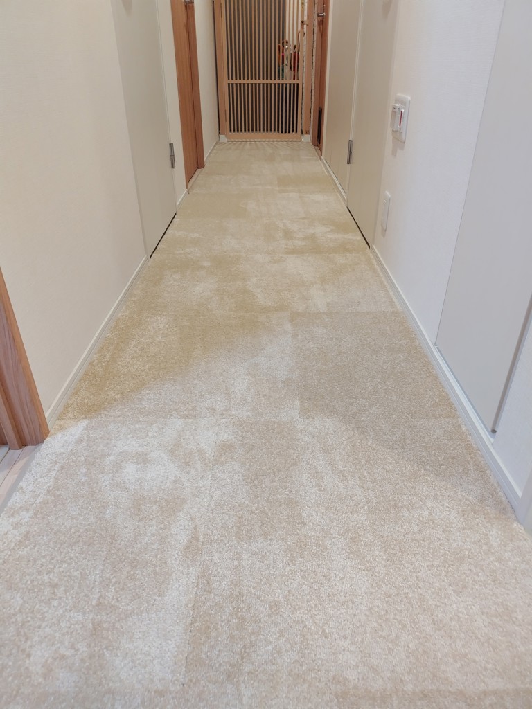 防音タイルカーペット 静床プレミア (3畳用 18枚セット 団地間, 50cm