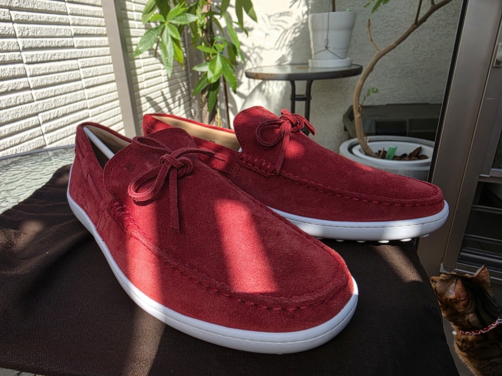 TOD'S (トッズ) メンズ シューズ スエード ドライビングシューズ