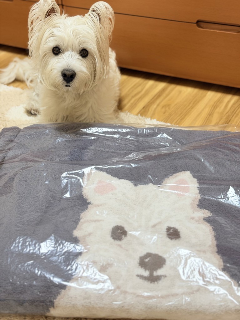 ユーザー写真