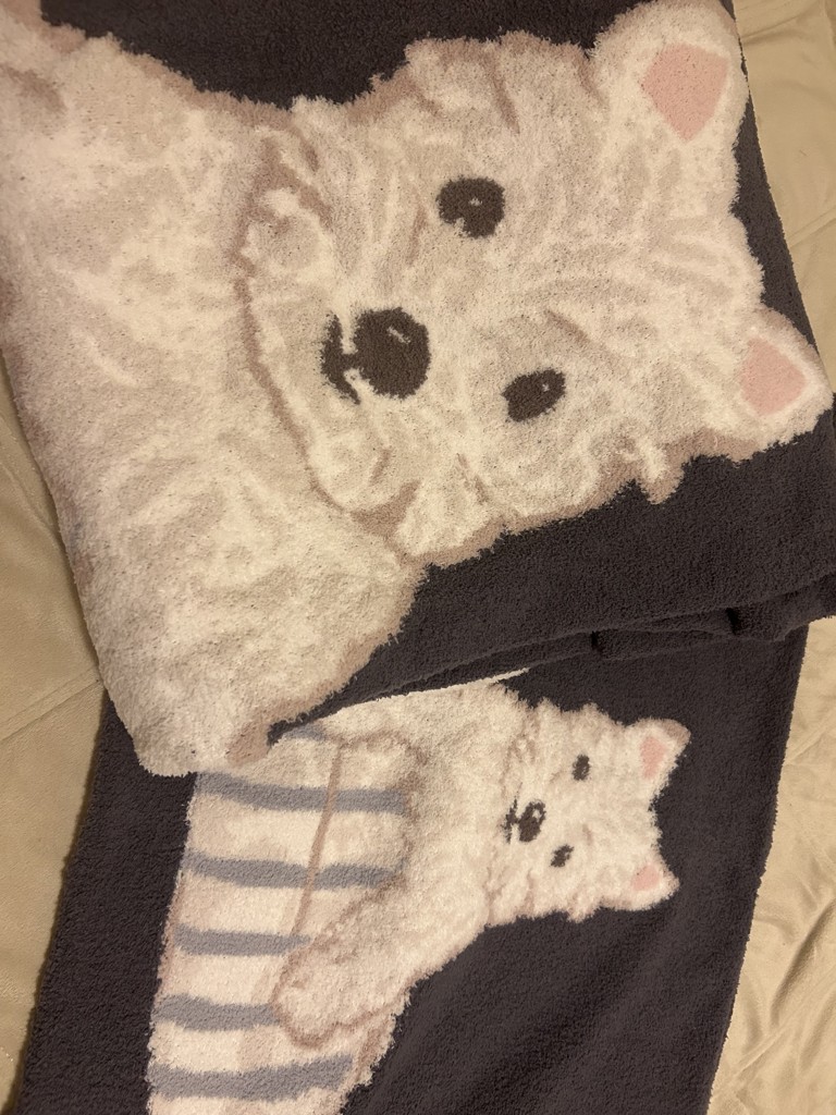 投稿写真