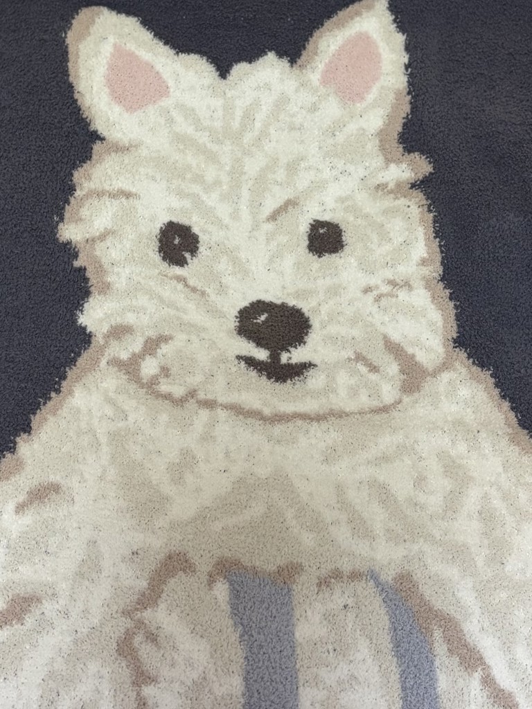 投稿写真