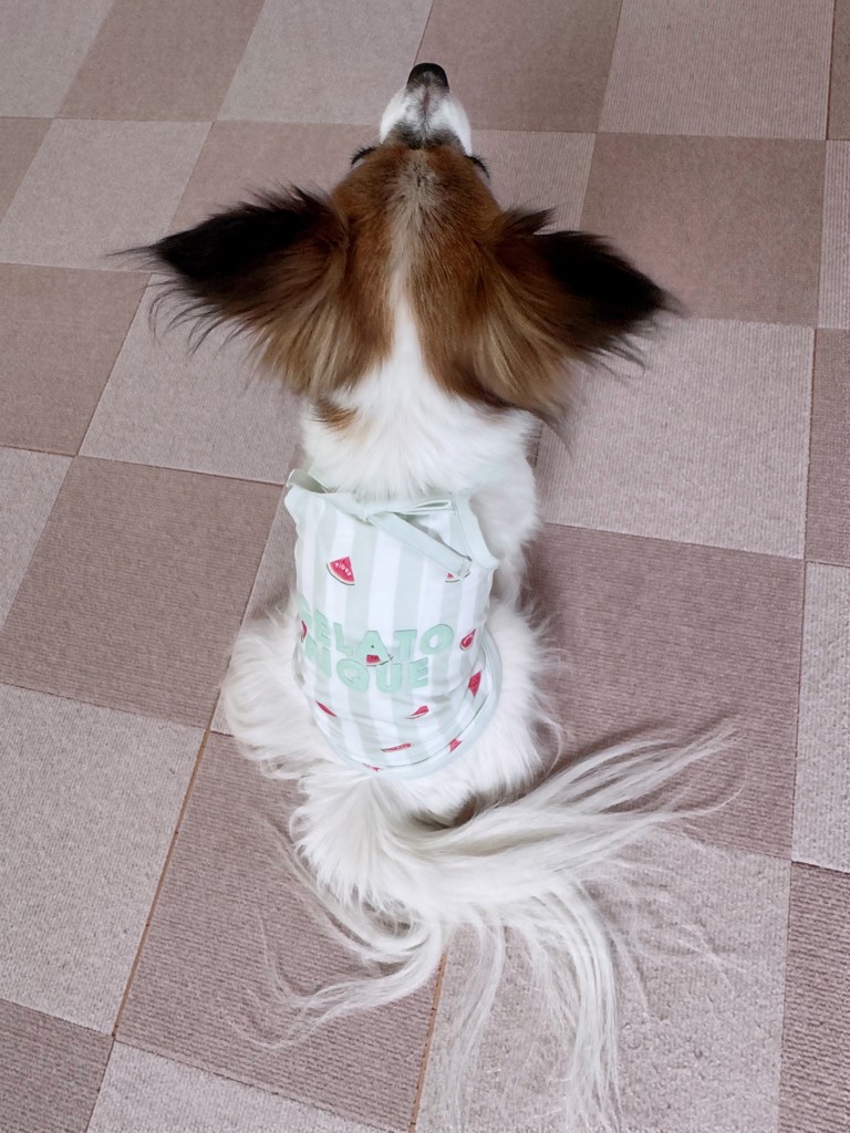 投稿写真
