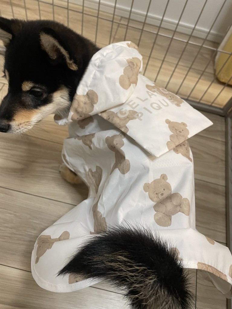 ユーザー写真