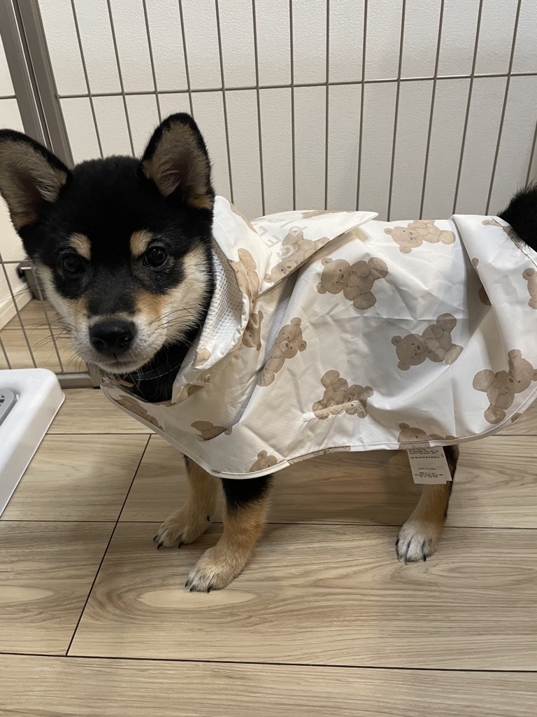 ユーザー写真