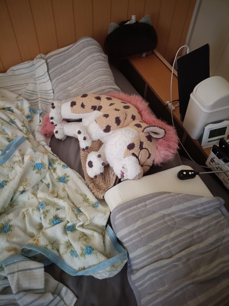 ユーザー写真
