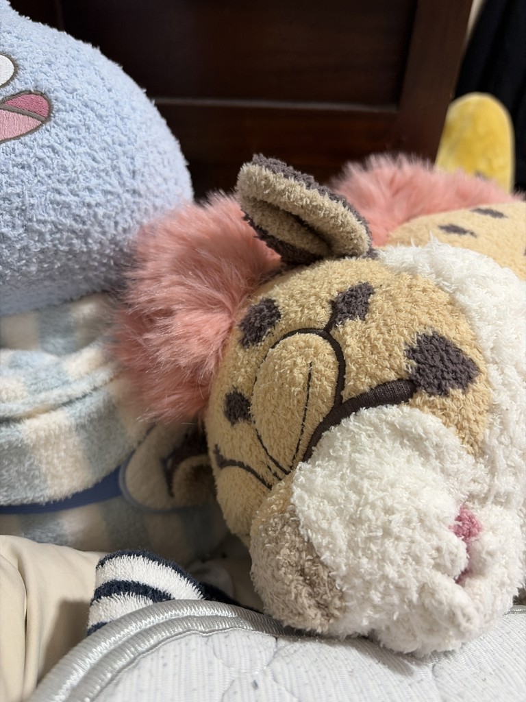 ユーザー写真