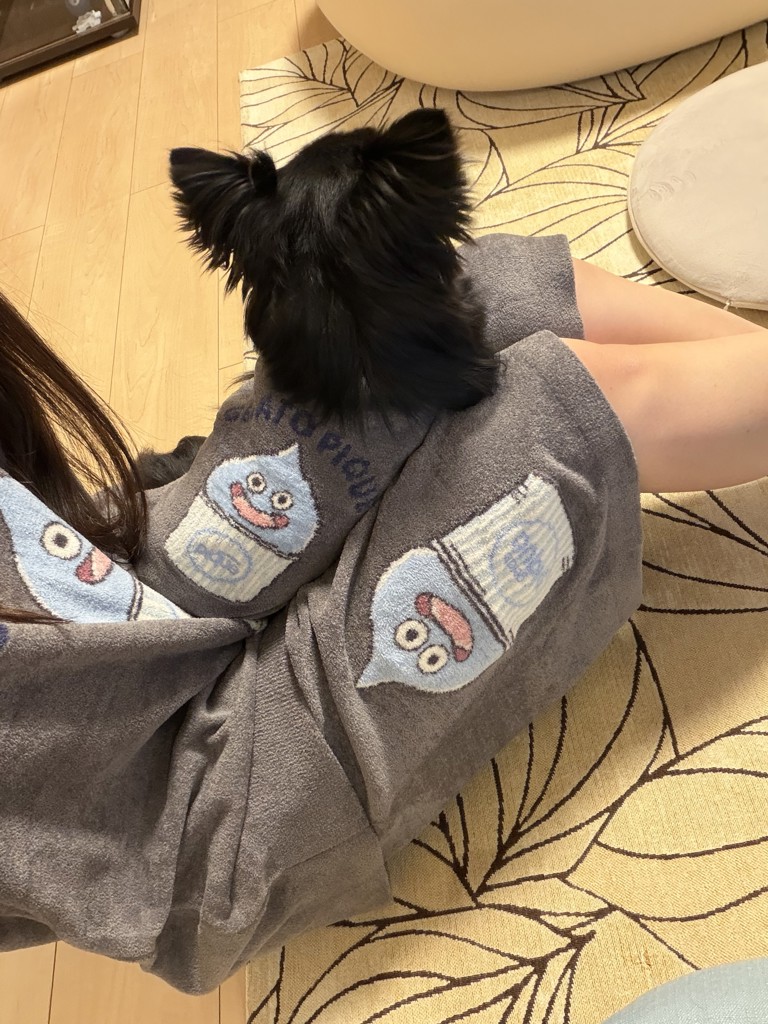 投稿写真