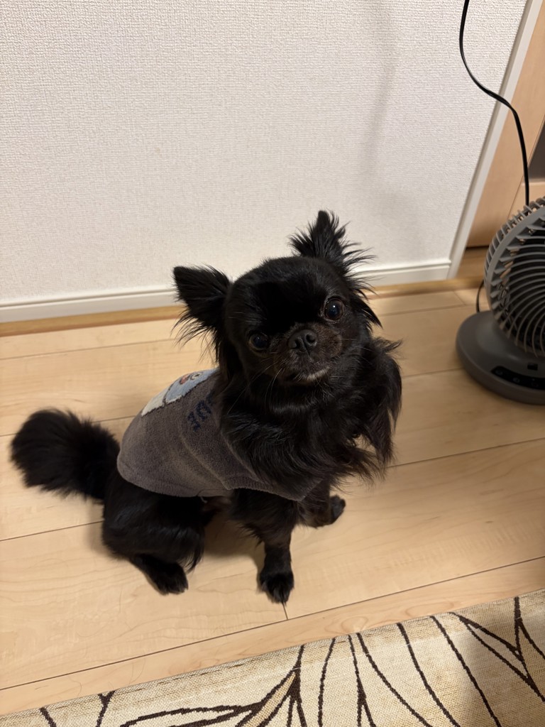 投稿写真